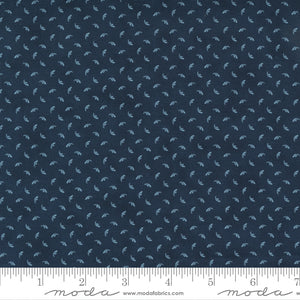 49164-13 Starlight Gatherings