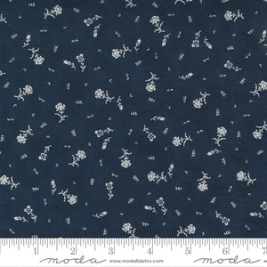 49165-11 Starlight Gatherings