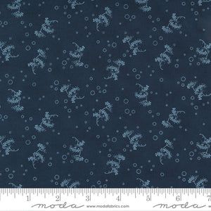 49167-13 Starlight Gatherings