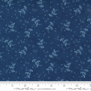 49167-16 Starlight Gatherings