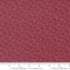 49171-20 Garden Gatherings